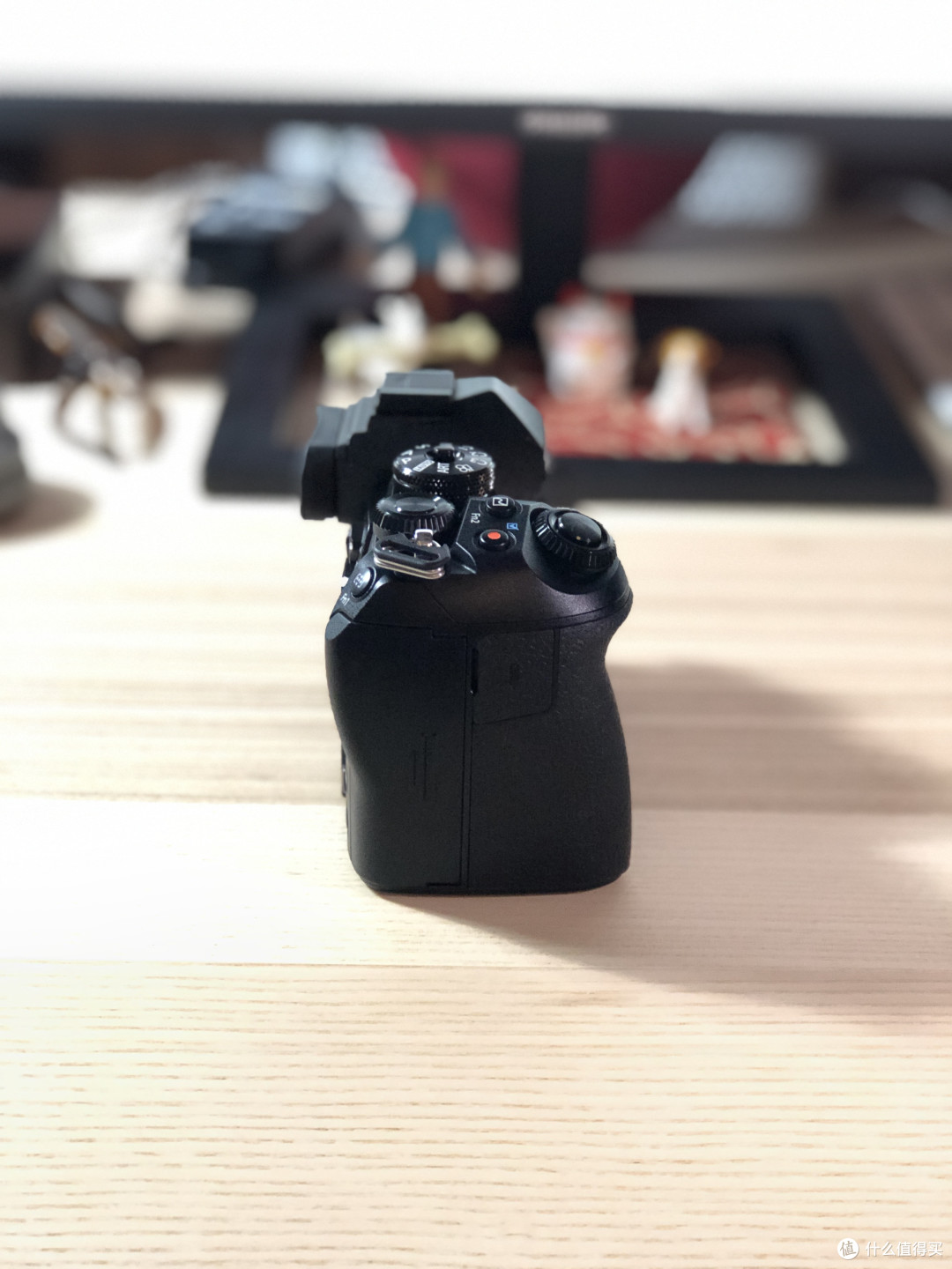 啊我疯球了——2020年毫不犹豫买了奥林巴斯E-M1 II