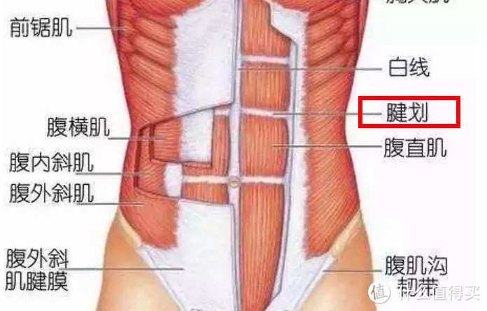 金秀贤腹肌上热搜：关于腹肌的4个真相，许多人忽视了最后一个