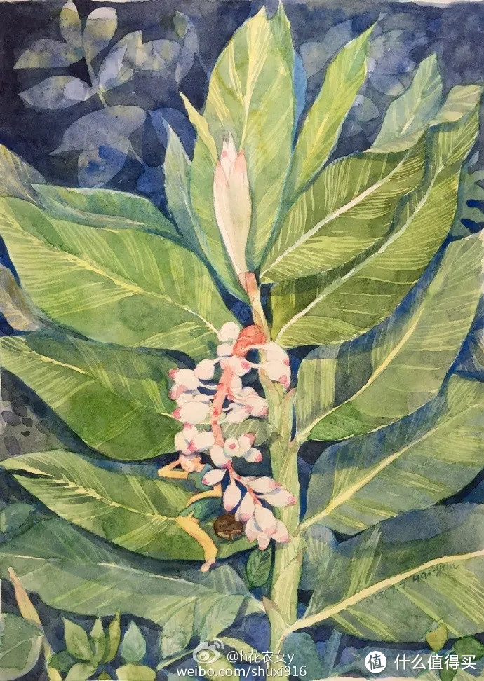 她把节气、园艺和萌猫画进画里,治愈万千粉丝!网友:这就是我向往的生活啊!