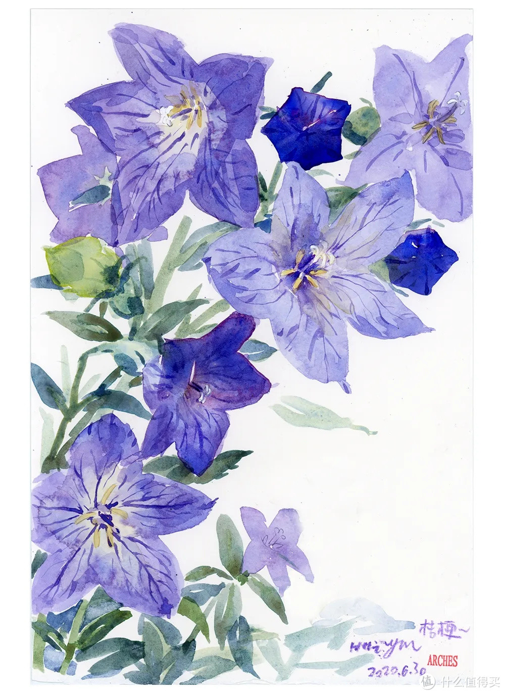 她把节气、园艺和萌猫画进画里,治愈万千粉丝!网友:这就是我向往的生活啊!