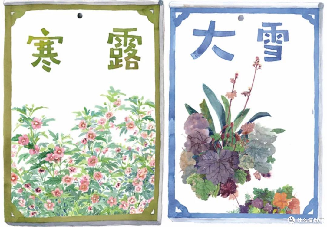 她把节气、园艺和萌猫画进画里,治愈万千粉丝!网友:这就是我向往的生活啊!
