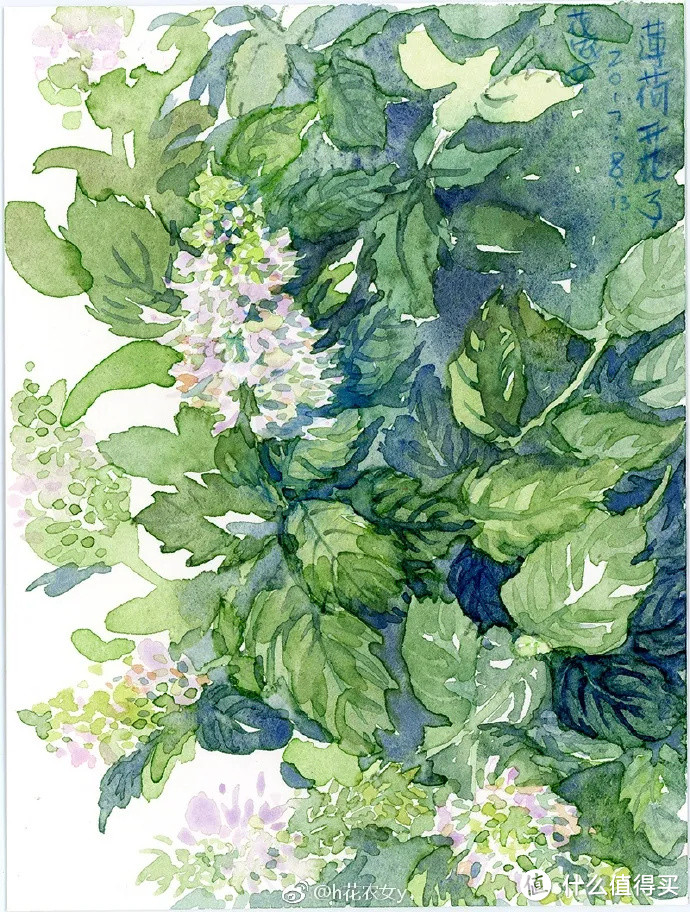 她把节气、园艺和萌猫画进画里,治愈万千粉丝!网友:这就是我向往的生活啊!