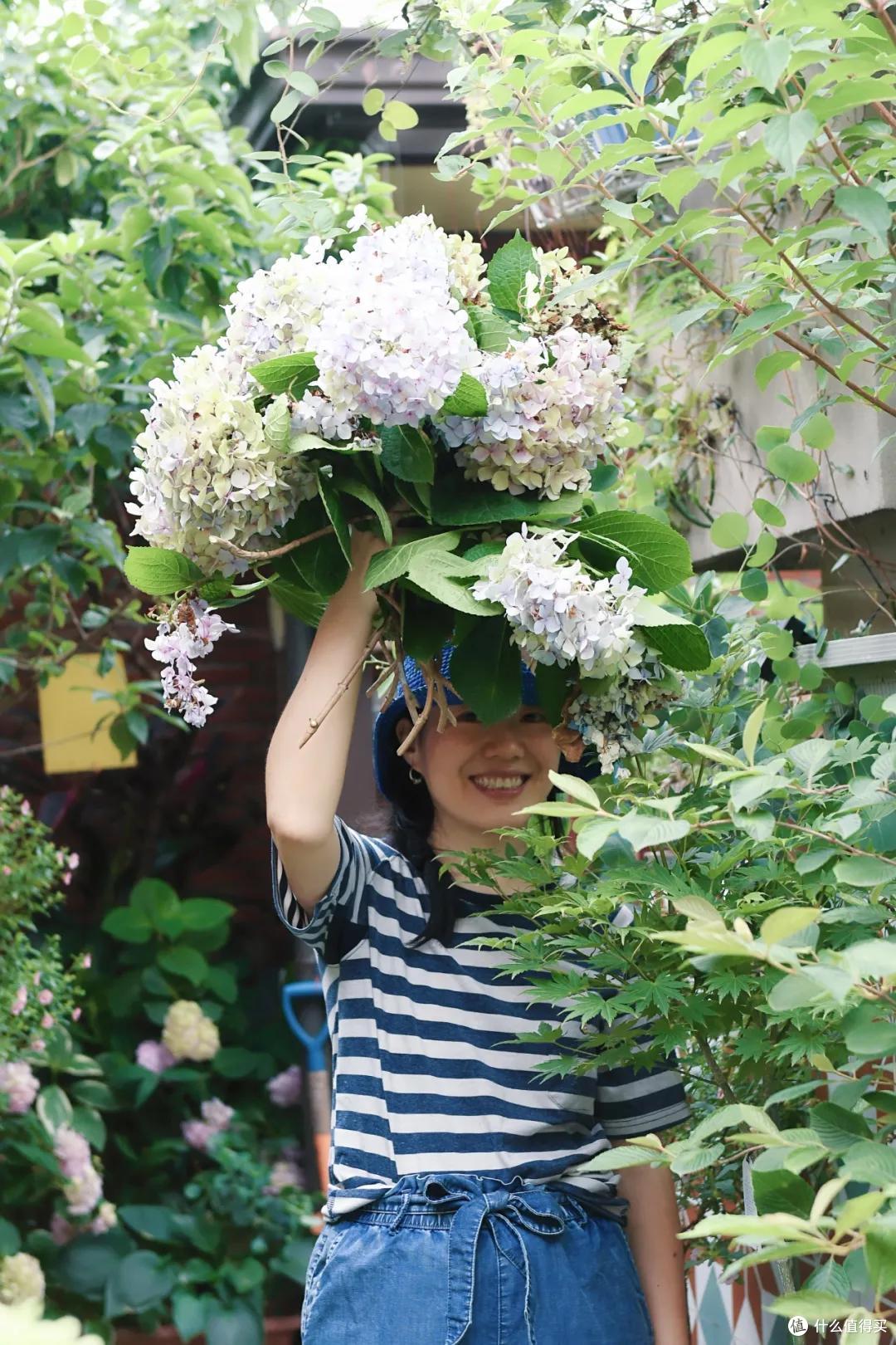 她把节气、园艺和萌猫画进画里,治愈万千粉丝!网友:这就是我向往的生活啊!