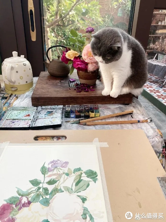 她把节气、园艺和萌猫画进画里,治愈万千粉丝!网友:这就是我向往的生活啊!