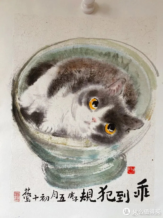 她把节气、园艺和萌猫画进画里，治愈万千粉丝！网友：这就是我向往的生活啊！