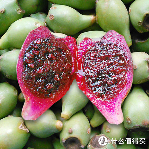 北部湾的岛产水果,来看看你吃过几种?附网购邮寄攻略~