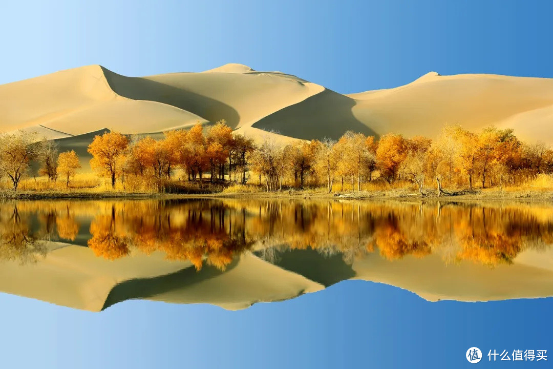 张张壁纸他专注拍摄沙漠胡杨20年被称胡杨王让世人领略大漠苍凉之美