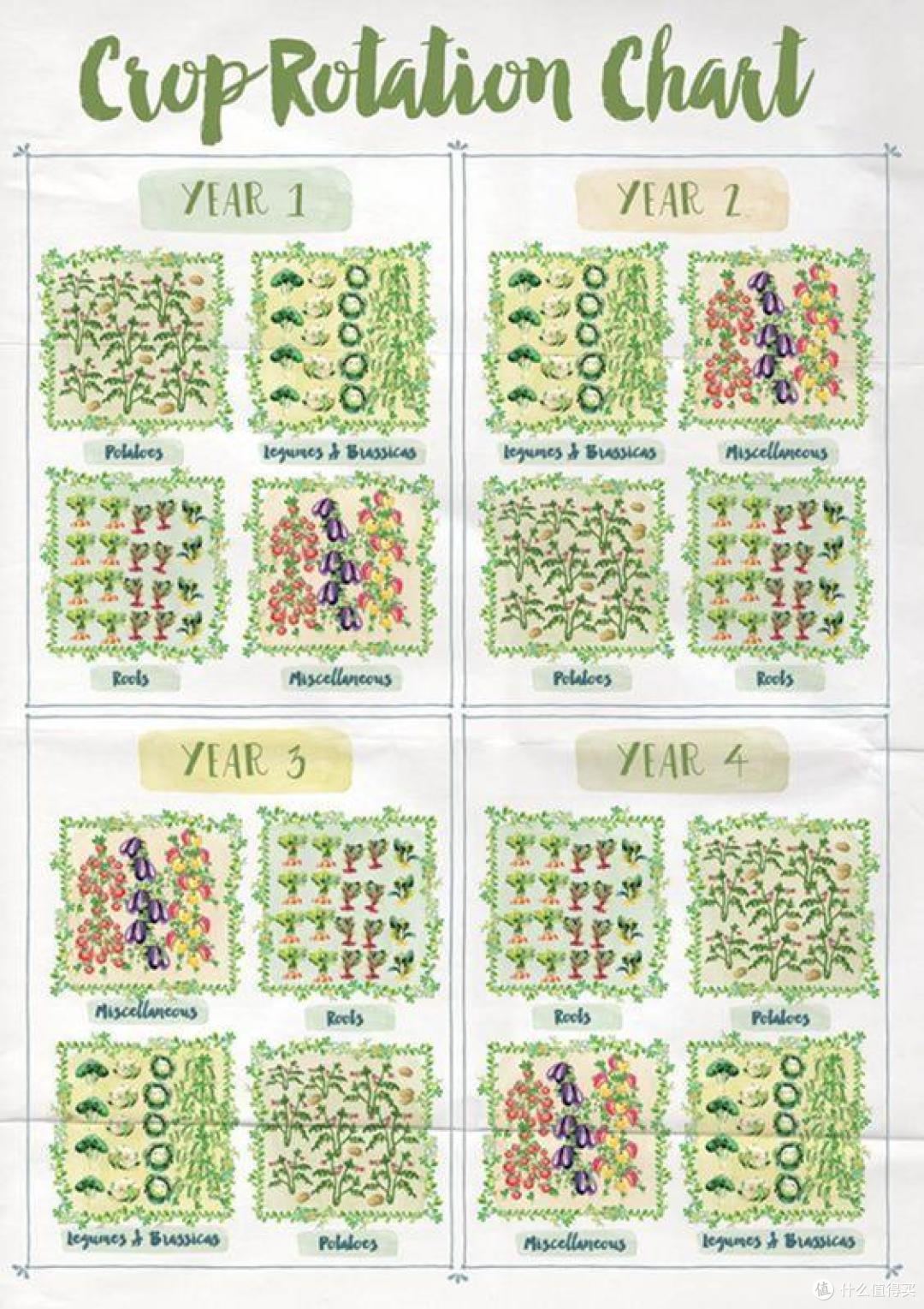 日本富人原来在庭院这样种菜?太美了