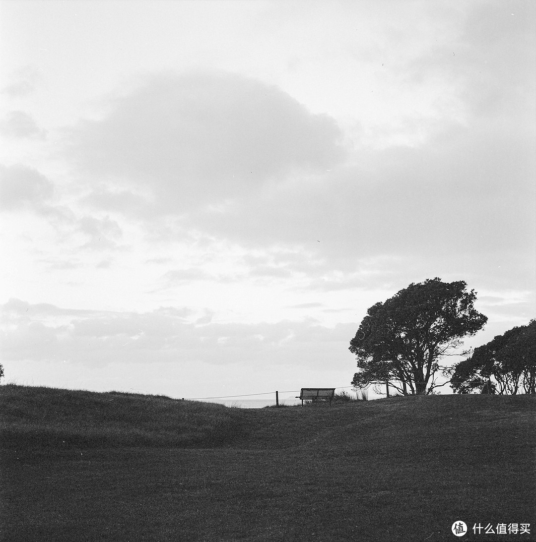 Rolleiflex 2.8E vs Mamiya C330：10倍差价的意外对决