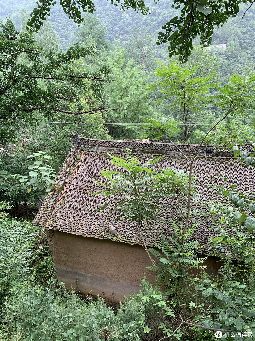 我们沿着寺庙旁边的山路继续往前上，看到了很多村民的房子，他们在这里用接近最原始飞方式生活着。房屋的吊脚很有讲究哦