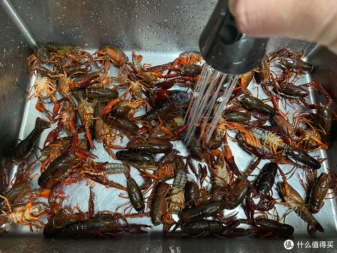 炎炎夏日，龙虾啤酒法力无边——分享一道小龙虾的家常做法~~