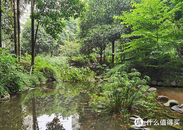 体验手机拍照巅峰，华为P40 Pro轻松全时段拍摄