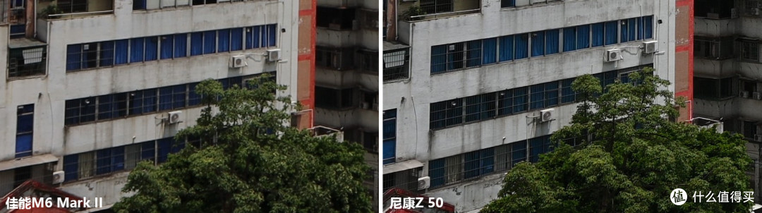 放大后
