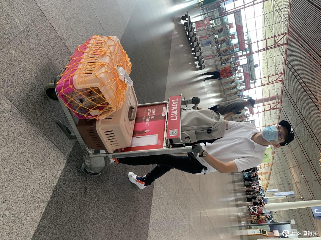 推着狗子去缴费