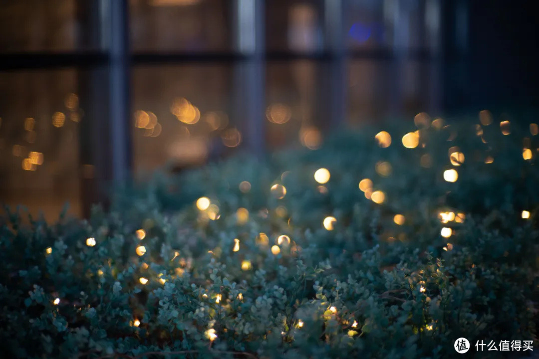 深度体验 |【良心国货】七工匠50mm F1.1 大光圈定焦镜头 详细评测