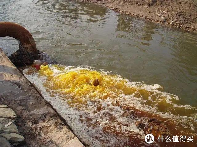 微博骂声一片！到底该不该禁止塑料吸管？