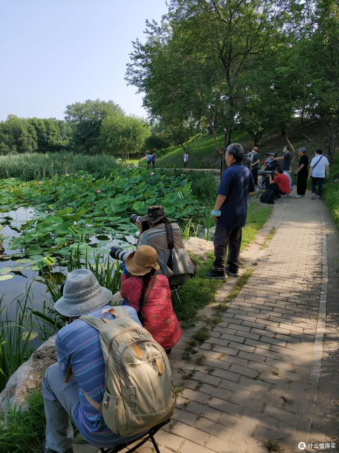 2020年的圆明园什么样?