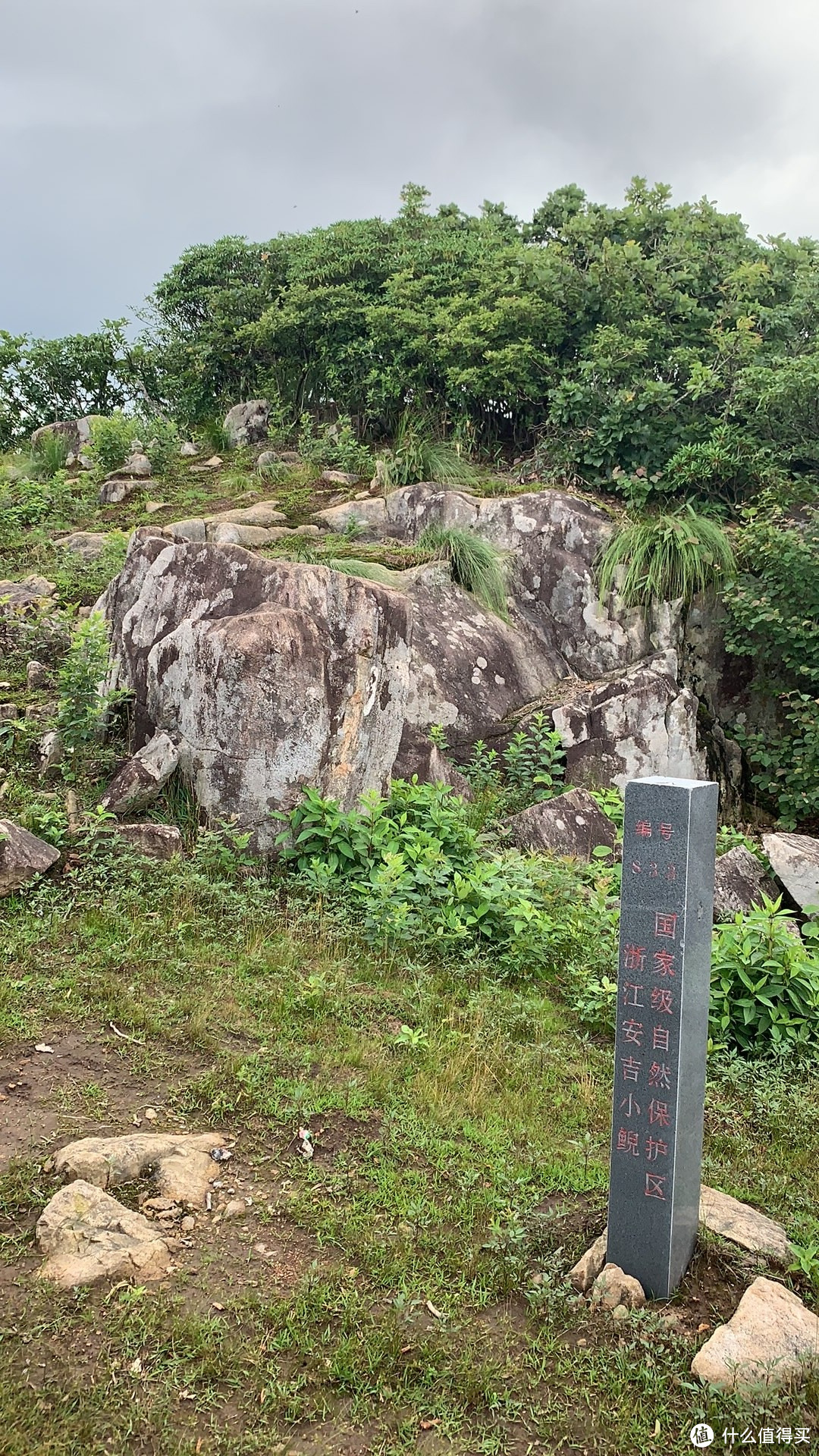 登顶三尖药王峰