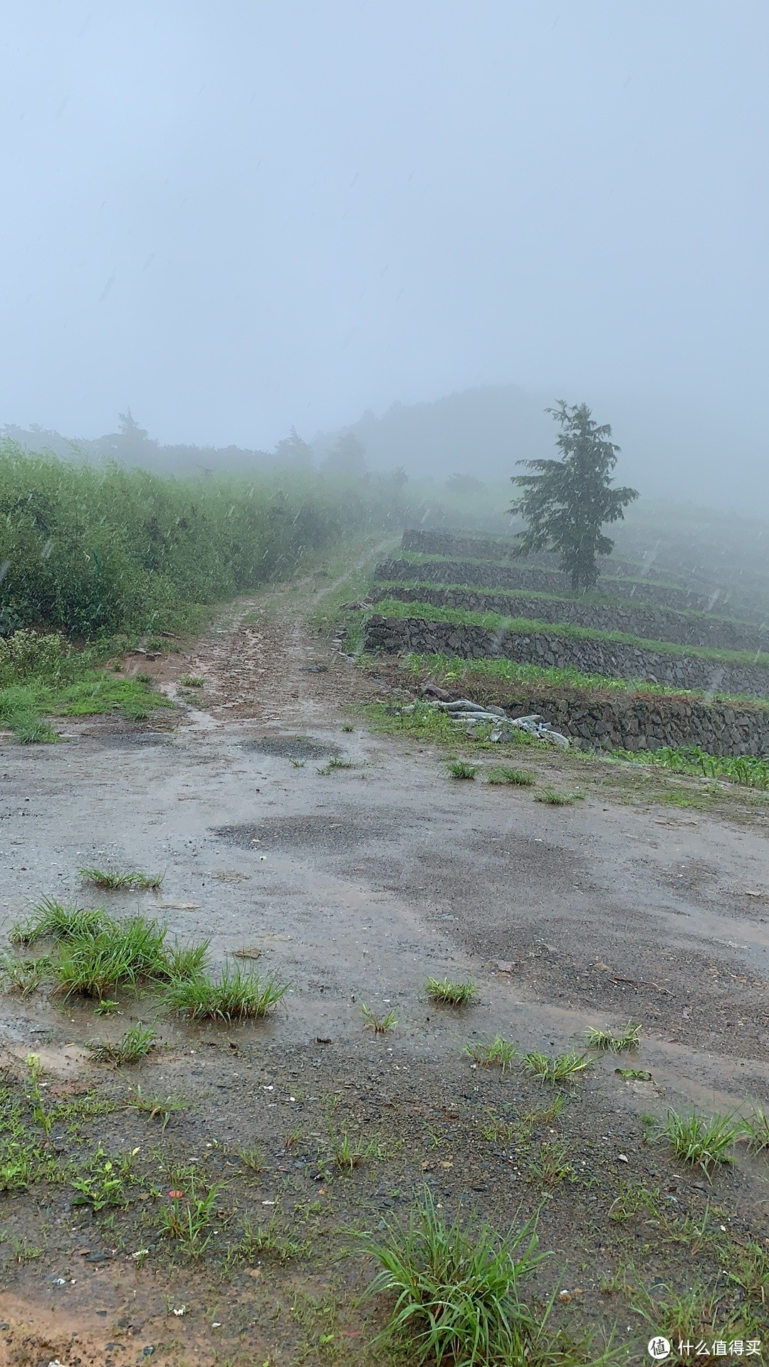 六尖上坡路，可以看到镜头里雨洋洋洒洒