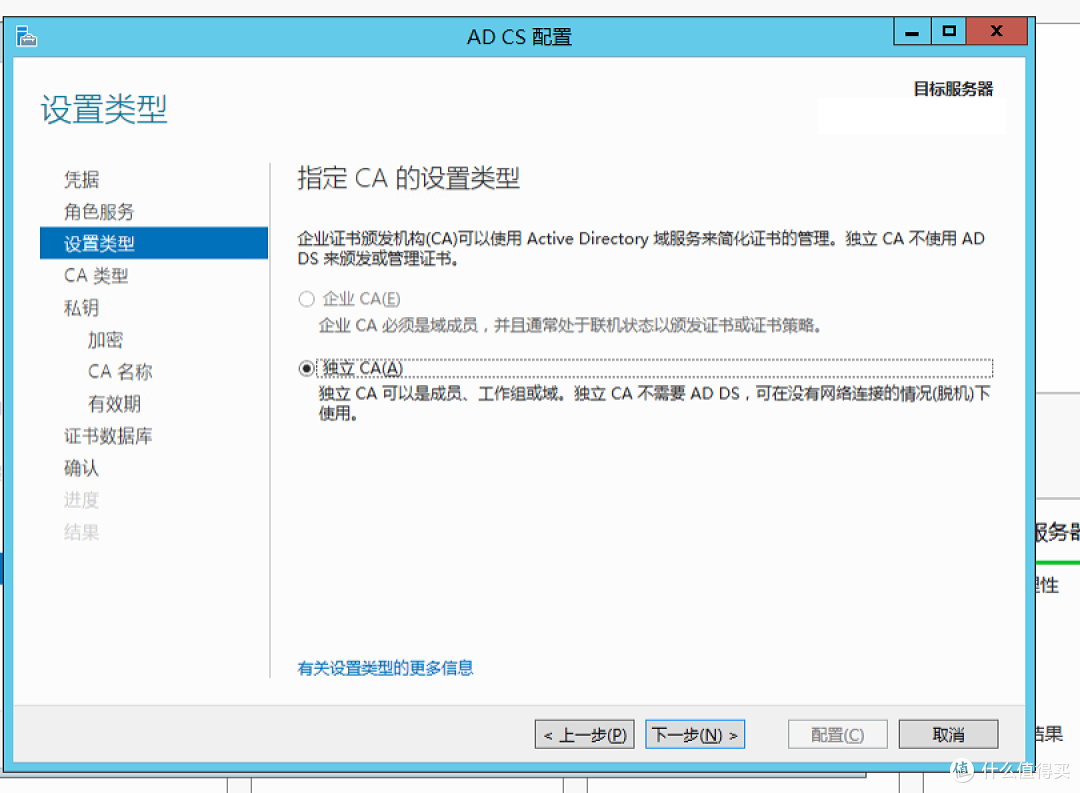 CA设置类型选择