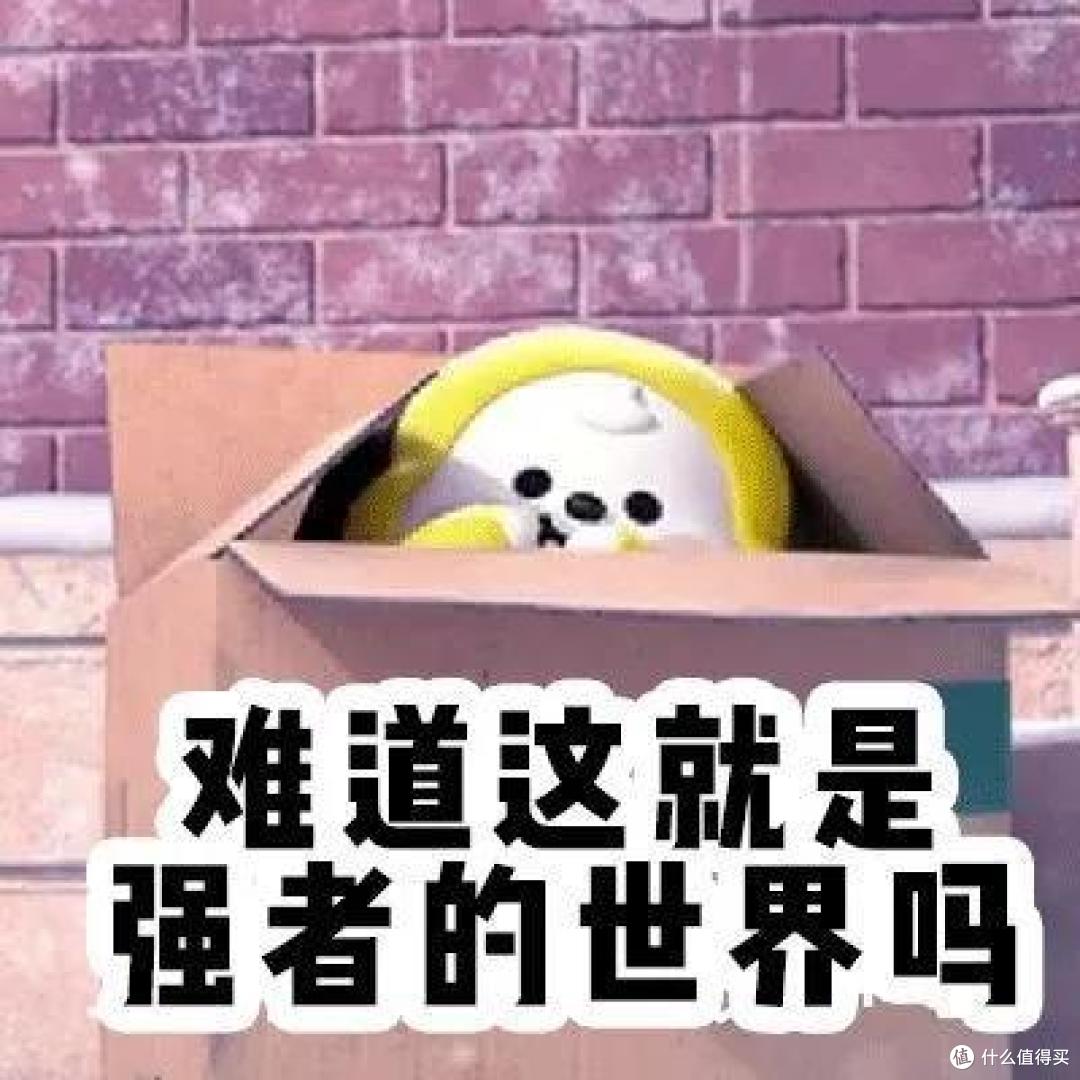 乘风破浪的姐姐同款护肤法,到我怎么就翻车?