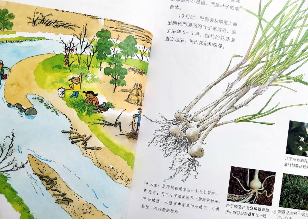 夏日绘本读什么？除了动画片和冰淇淋，读书和运动也跟夏天很搭哦！
