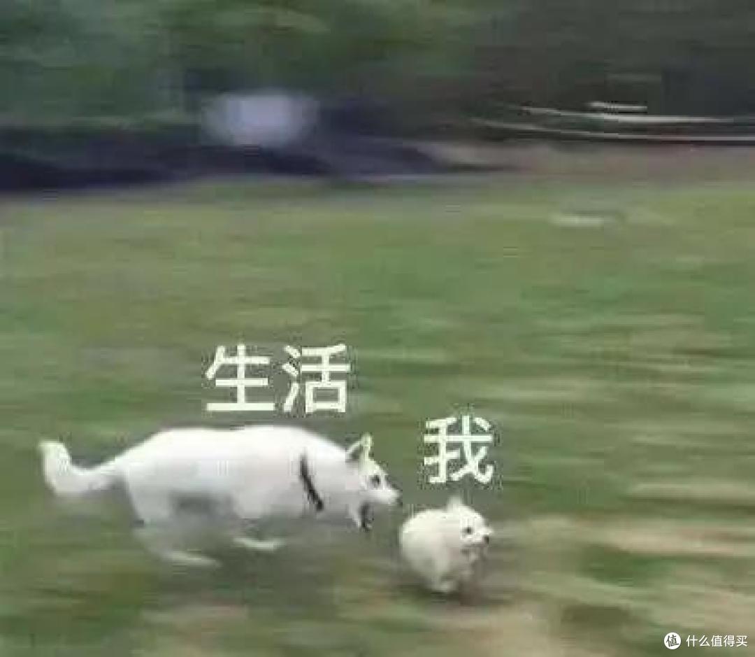 豆瓣9.4强势归回,这部7年前的封神之作道出了我们的心声