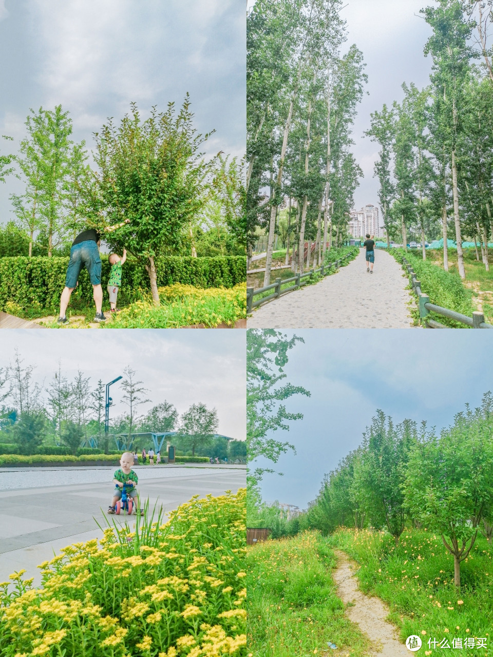 北京超大水系宝藏公园全攻略🉑野餐