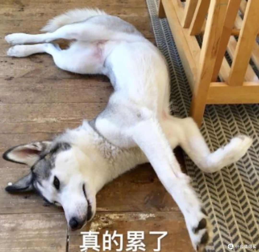 精选速食美味！六大类速食、18种不同的食物良心推荐！每一口都要吃出幸福感！值得收藏！