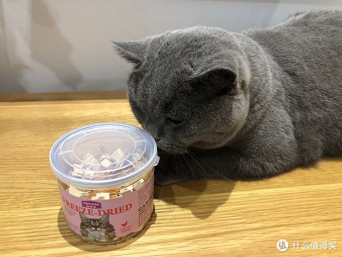 新手养猫指南——12款健康美味还不贵的猫零食推荐
