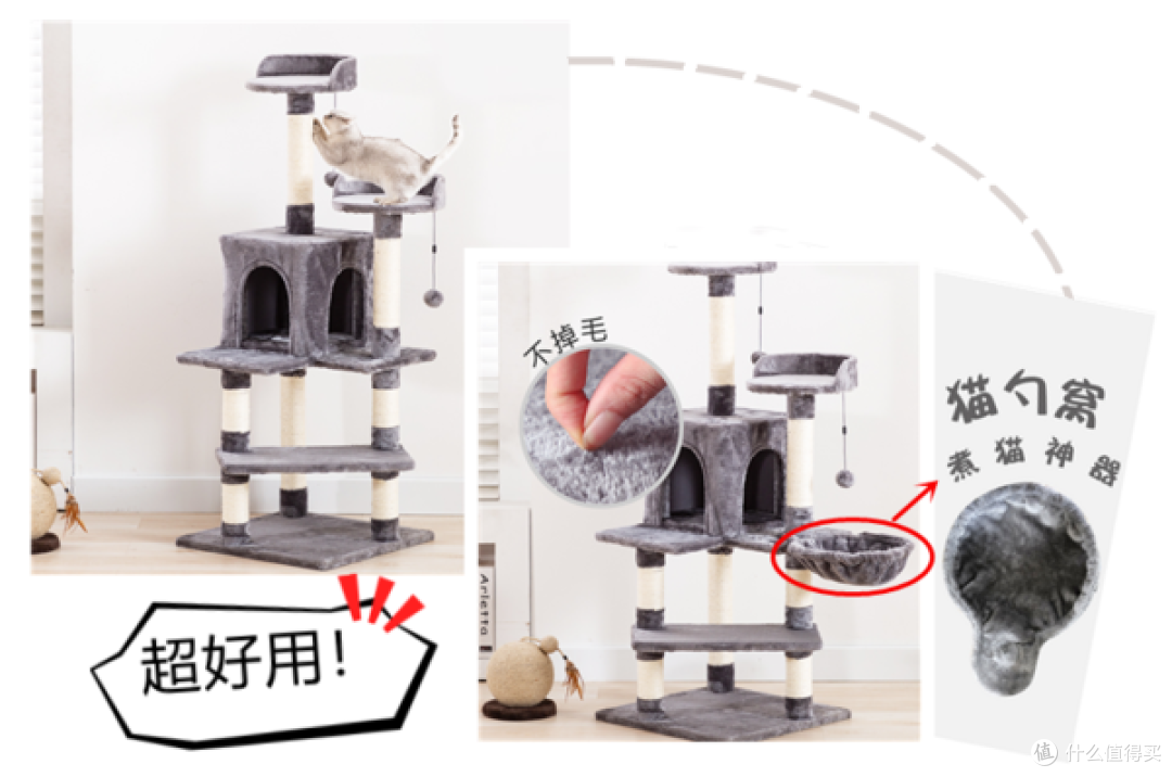 新手养猫必备清单，让你成为一个合格的猫奴