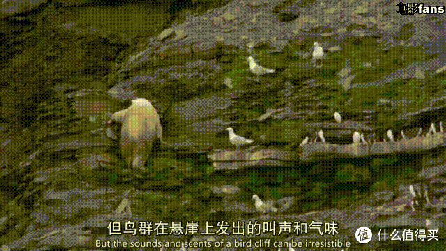 如果不能进行一场说走就走的旅行,那么不妨收藏好这些纪录片,跟着它们去看遍世界吧-暑期纪录片推荐