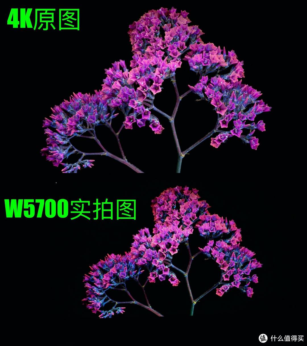 同是DLP投影仪，2万块的4K UHD投影仪W5700与4千块的TH585有多大差别？ 