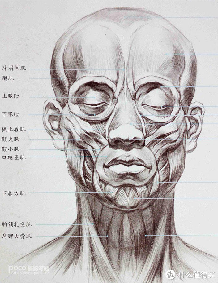 人像后期高级技法分享，人像面部光影快速塑造技巧