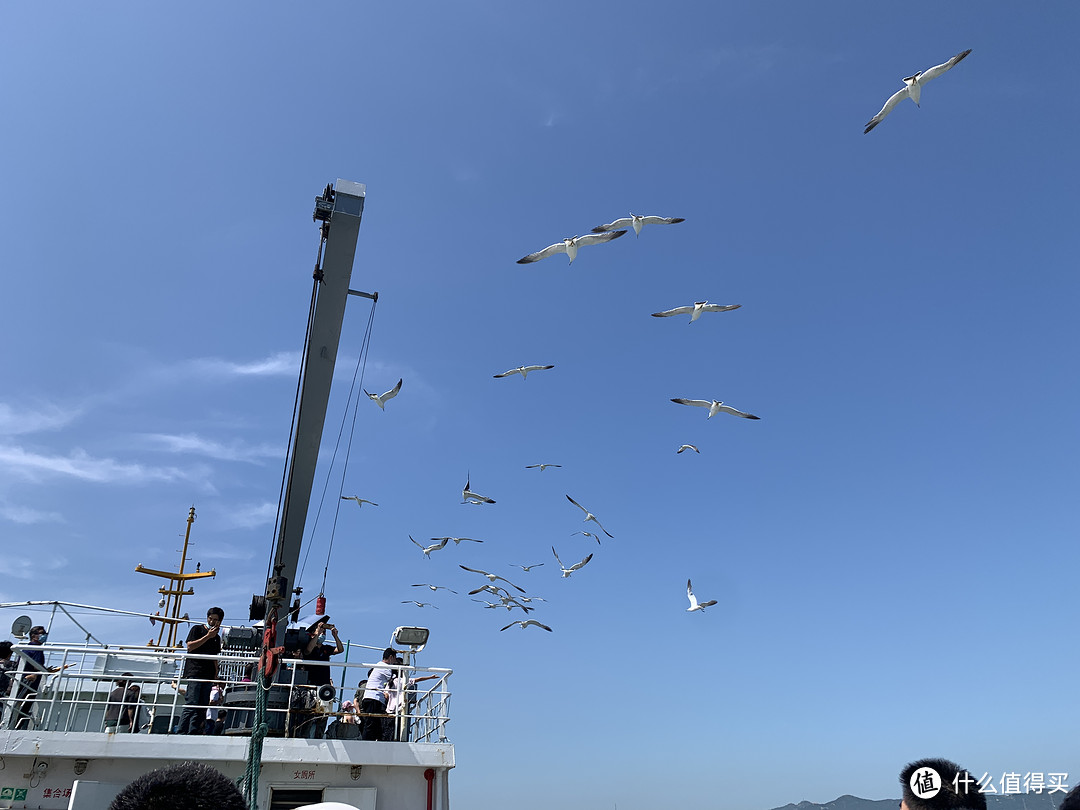 喂海鸥，几乎每搜船外上都有一群海鸥“守护”