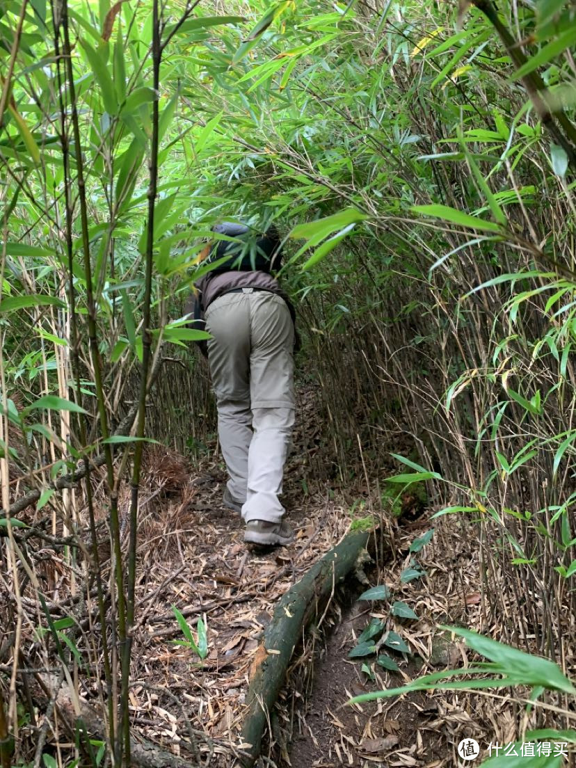 或许是最适合入门的徒步登山鞋，迪卡侬steppe300高帮徒步鞋体验