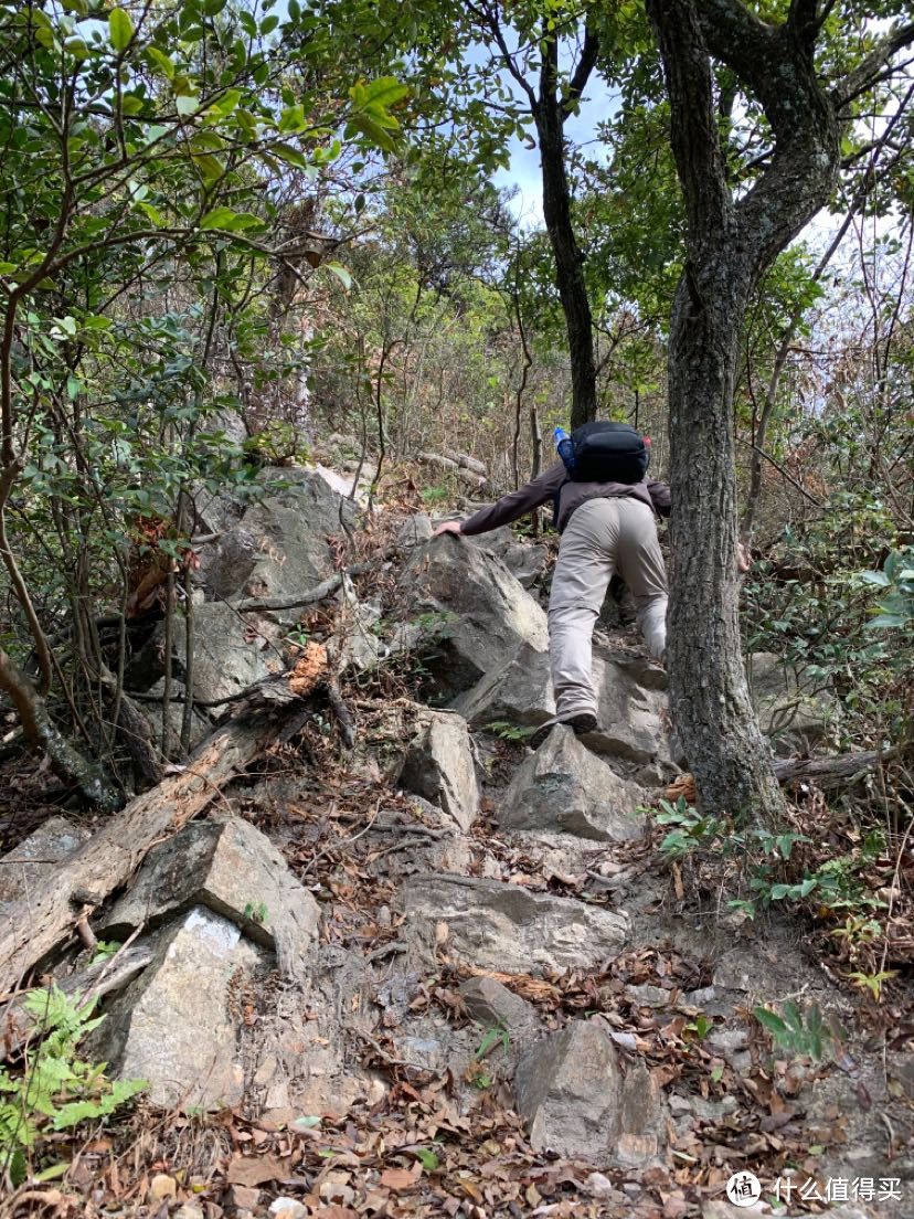 或许是最适合入门的徒步登山鞋，迪卡侬steppe300高帮徒步鞋体验