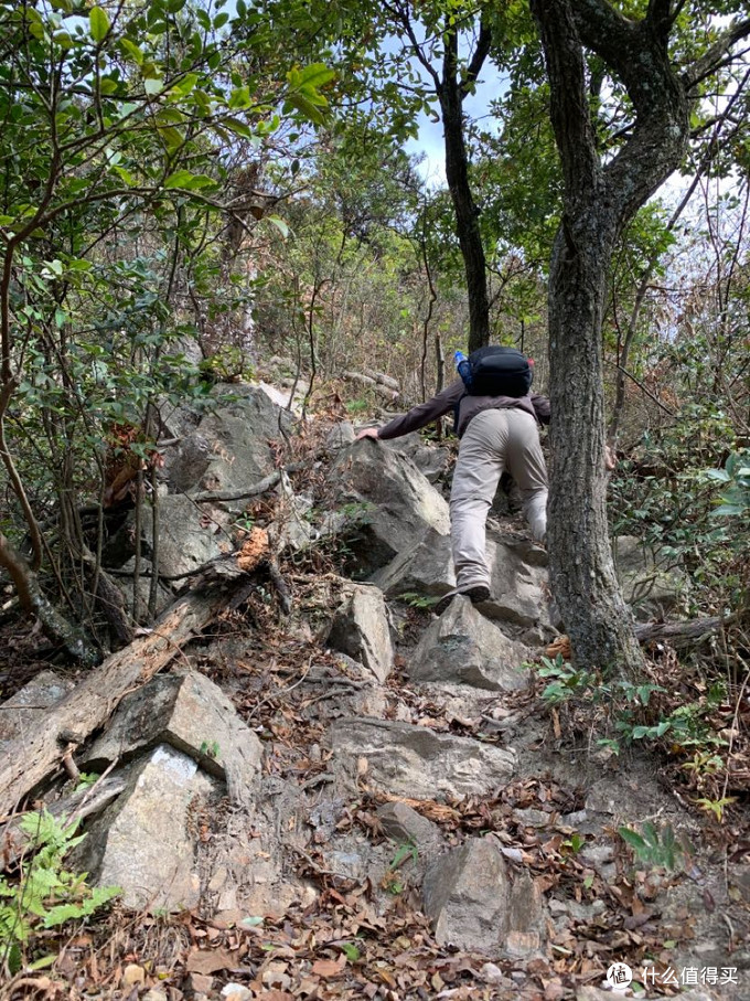 或许是最适合入门的徒步登山鞋，迪卡侬steppe300高帮徒步鞋体验