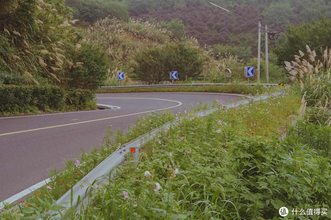 自驾四明山，游走浙江最美盘山路，芦苇、竹林、溪流、古村落