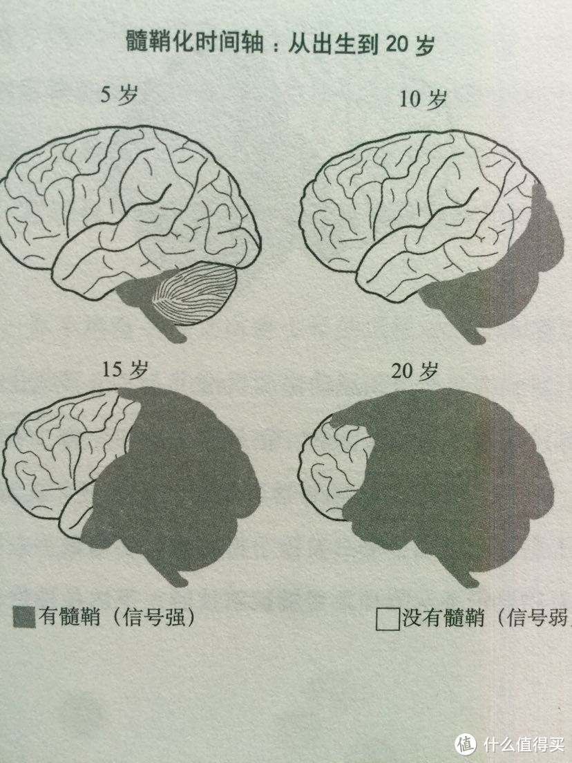 《来自星星的孩子》内页