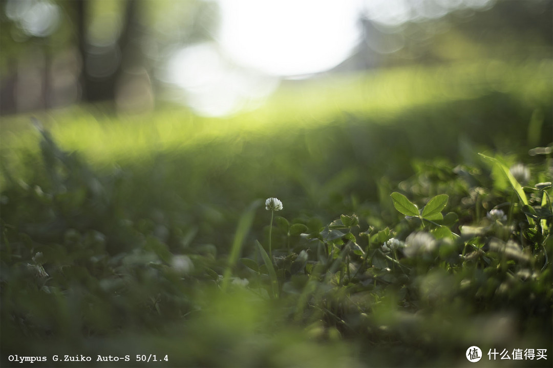 胶片时代的心头好 -  50mm F1.4 标准镜头