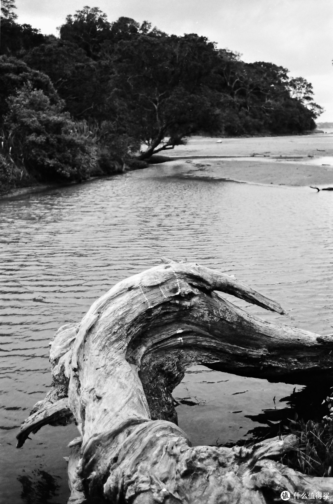 瑞光印象(1):Olympus OM 35mm F2.8