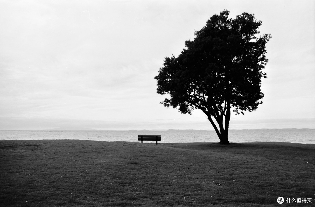 瑞光印象(1):Olympus OM 35mm F2.8