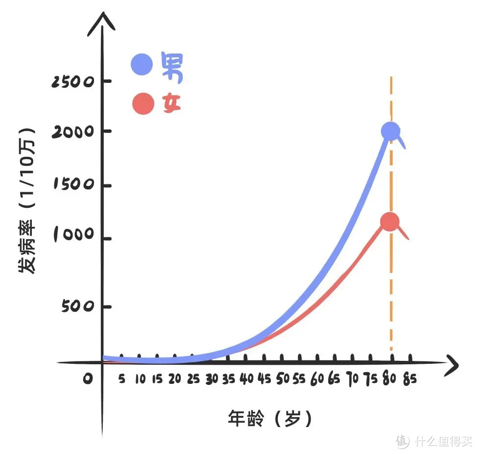 为什么男性保费高于女性？告诉你关于男人，你不知道的健康真相