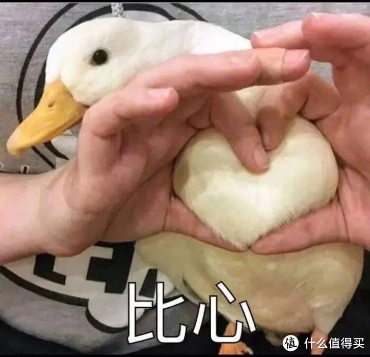 为什么男性保费高于女性?告诉你关于男人,你不知道的健康真相