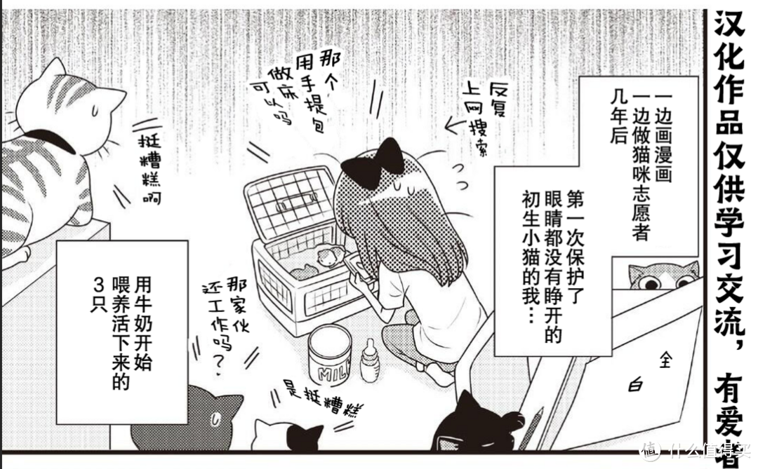 漫画嵌字？几步搞定！