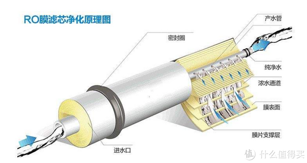 图片源于网络，侵删