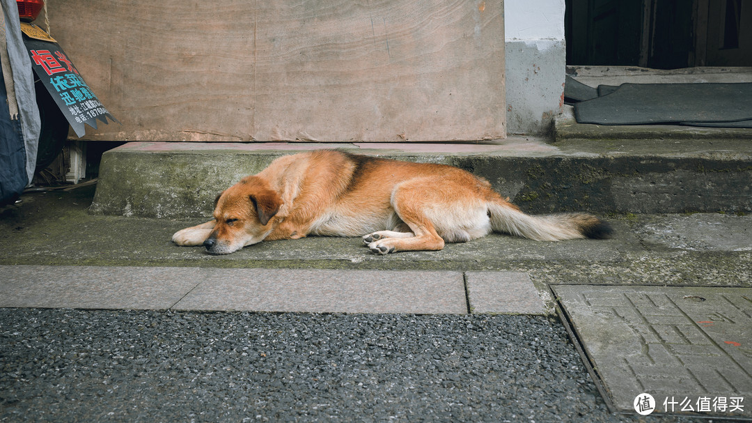 光圈:F5 快门:1/100 ISO:200 LR后期调色