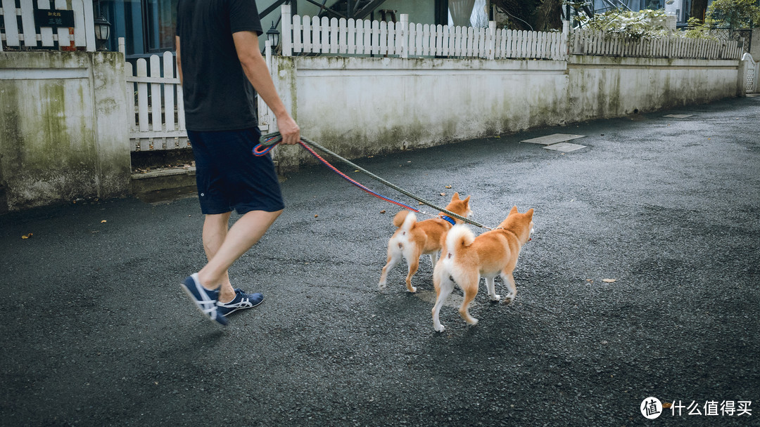 光圈:F2.8  快门:1/160  ISO:2500 LR后期调色