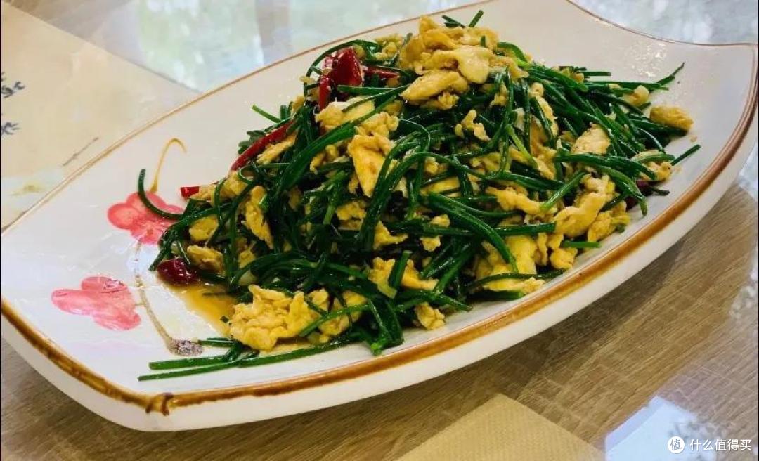 看沙漠、游黄河,中卫适合没时间却想玩西北的你
